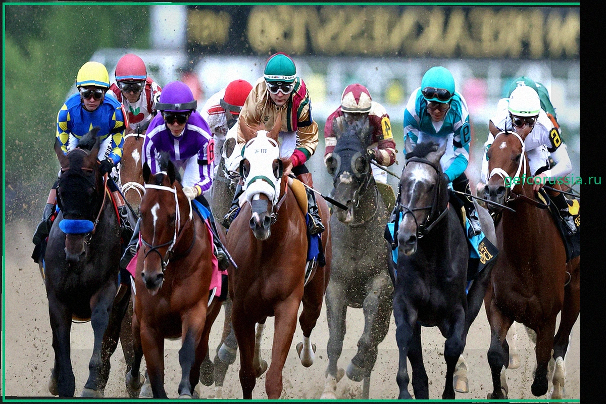 Preakness 2026: Жеребьевка стартовых позиций, время начала, состав лошадей и прочее