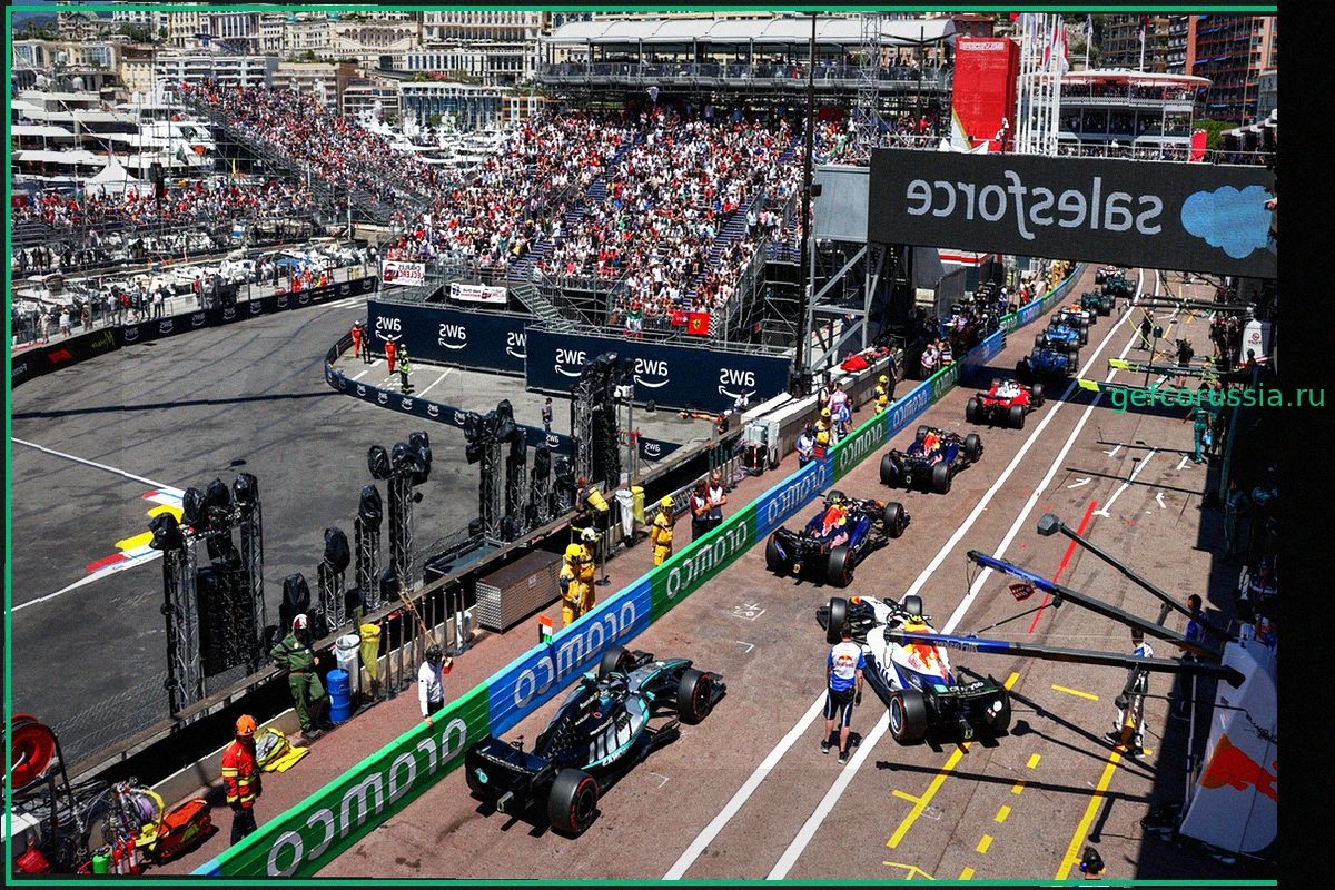 Наблюдайте, как чайка ворует пиццу на гонке F1 в Монако, в новом вирусном видео под названием «Ограбление века»